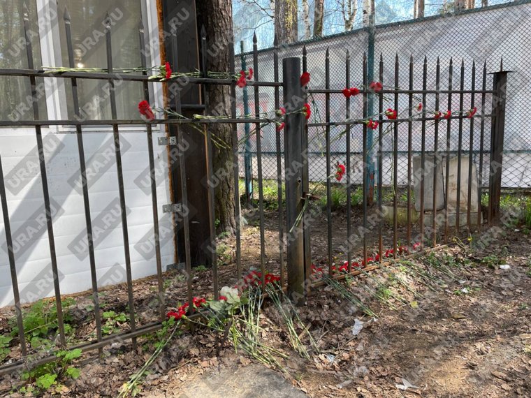 Пермяки несут цветы к забору, на котором трагически погибла 18-летняя девушка. Фото, видео