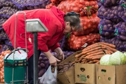 Россию завалили картошкой из Китая и Египта