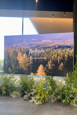 В Перми появился первый отель международного класса. Фото