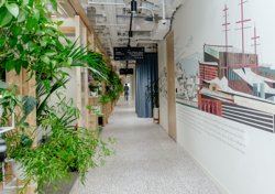 «За два года от мидла до тимлида»: как «зумеры» строят карьеру