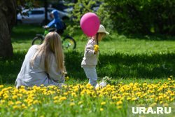 Большая часть губернаторов не выполнит KPI по рождаемости