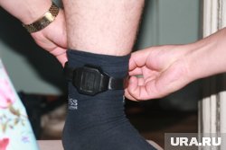 Четыре метра квадратных и шконка против личной квартиры: как содержатся редактор Аллаяров и сдавший его дядя