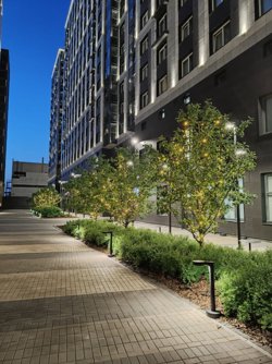 Где отдохнуть в Петербурге без толп туристов: опыт пермского журналиста URA.RU. Фото, видео