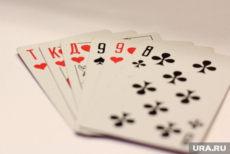 Поспорить о бестселлерах и выжить в &laquo;Мафии&raquo;: как интересно провести время в Перми любителям спокойного досуга