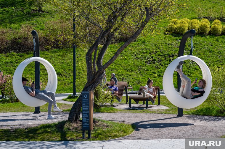 Поспорить о бестселлерах и выжить в &laquo;Мафии&raquo;: как интересно провести время в Перми любителям спокойного досуга