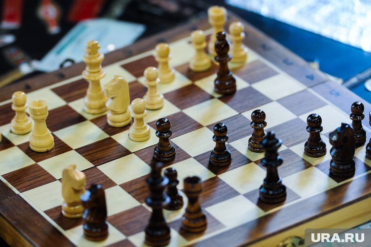 Поспорить о бестселлерах и выжить в &laquo;Мафии&raquo;: как интересно провести время в Перми любителям спокойного досуга