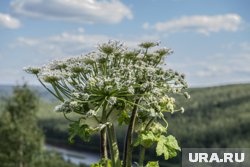 Арест пермского мэра, радость для зумеров и возвращение дизайнера-скандалиста: топ-10 новостей Прикамья