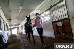 Не так просто, как кажется: журналист URA.RU из Перми попробовала себя в конном спорте. Фото, видео