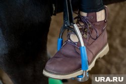 Не так просто, как кажется: журналист URA.RU из Перми попробовала себя в конном спорте. Фото, видео