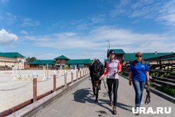 Не так просто, как кажется: журналист URA.RU из Перми попробовала себя в конном спорте. Фото, видео
