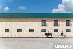 Не так просто, как кажется: журналист URA.RU из Перми попробовала себя в конном спорте. Фото, видео
