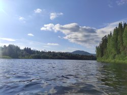 Неделя в уральской тайге: секреты одиночного выживания. Фото, видео