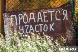 Проверить на банкротство и посовещаться с соседями: как пермякам выбрать участок для загородного дома