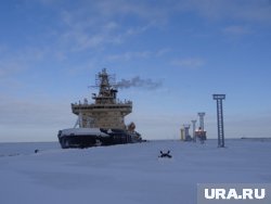 Путин и Трамп хотят встретиться вопреки воинственным заявлениям