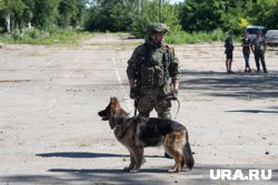 Россия предложила Украине изменить формат переговоров