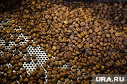 &laquo;Сделай вкусно, не беси&raquo;: владелец пермской кофейни об опасных клиентах и пыли с дорог Бразилии