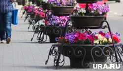 В Чусовом неизвестный отметил годовщину скандальной кражи цветов с городской площади. Фото