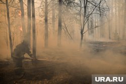 В пермских лесах ввели особый противопожарный режим