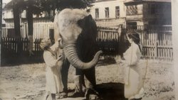 Завершение вековой истории: Пермский зоопарк навсегда закрывает свои двери. Фотогалерея