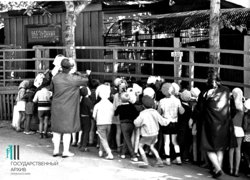 Завершение вековой истории: Пермский зоопарк навсегда закрывает свои двери. Фотогалерея