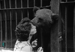 Завершение вековой истории: Пермский зоопарк навсегда закрывает свои двери. Фотогалерея