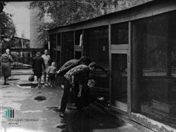 Завершение вековой истории: Пермский зоопарк навсегда закрывает свои двери. Фотогалерея