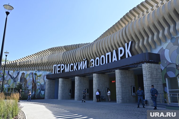 Чем новый зоопарк будет радовать пермяков и гостей города