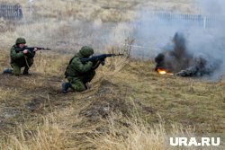 Чем закончилось стремление Путина и Трампа к миру