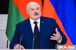 Европейские лидеры научили Зеленского играть на слабостях Трампа