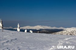 &laquo;Я убежден, что она жива&raquo;: подробности нового поворота в спасении Наговицыной после трех неудачных попыток