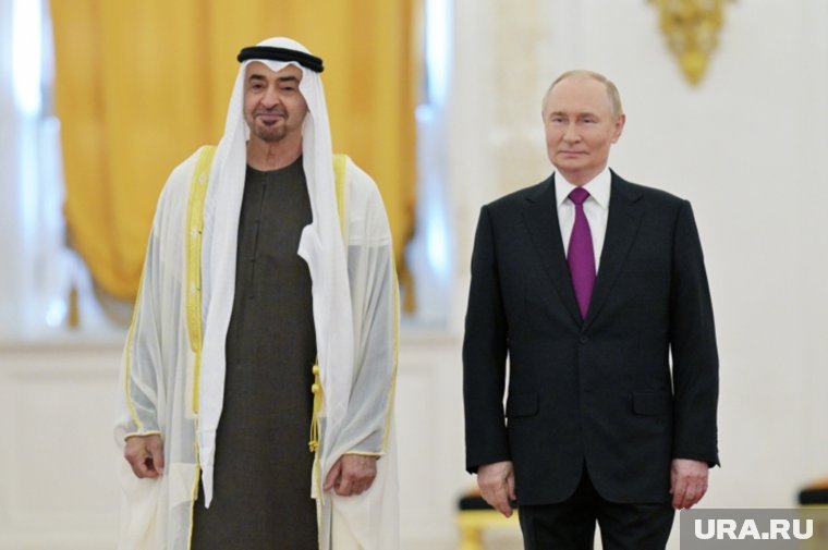 Компромиссом между Путиным и Трампом стала судьба Зеленского