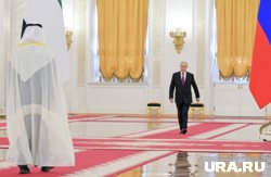 Компромиссом между Путиным и Трампом стала судьба Зеленского