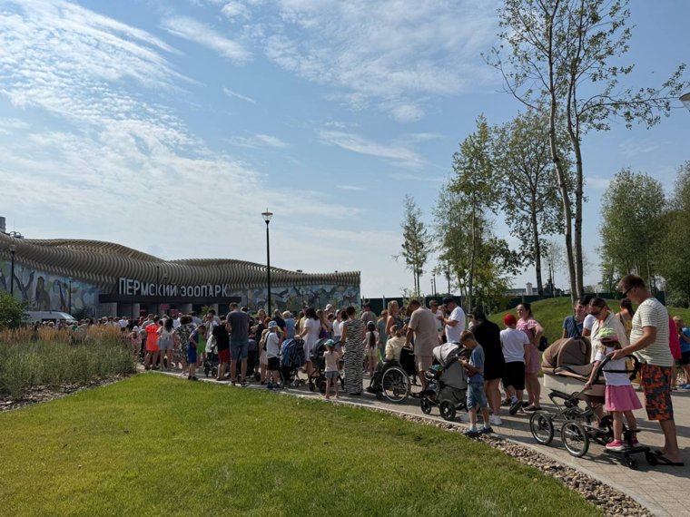 Пермяки толпами идут в новый зоопарк: онлайн-трансляция URA.RU