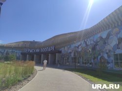 Пермский зоопарк поделился фото переехавших животных