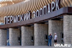 Путин изменит условия льготной ипотеки