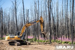 Ремонтировать иномарки в России станет дешевле и быстрее