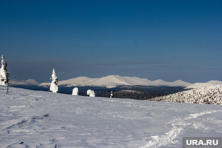 Российскую альпинистку признали без вести пропавшей: что известно о спасении Наговицыной к 27 августа
