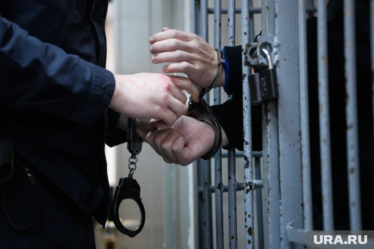 Театральная феерия, истязание двух школьниц и медведь под напряжением: топ-8 новостей Перми и края