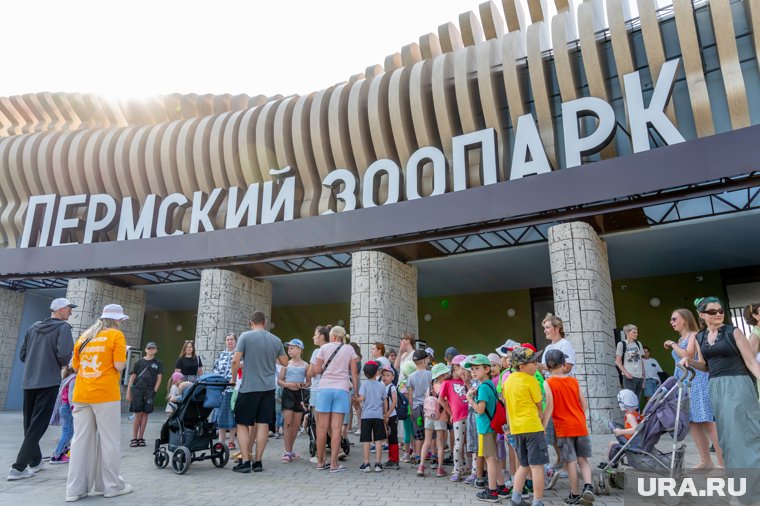 Театральная феерия, истязание двух школьниц и медведь под напряжением: топ-8 новостей Перми и края