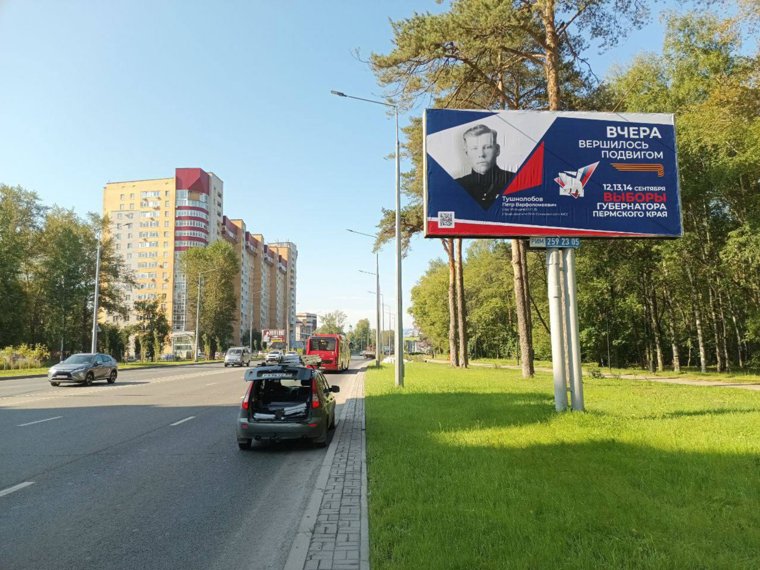 Театральная феерия, истязание двух школьниц и медведь под напряжением: топ-8 новостей Перми и края