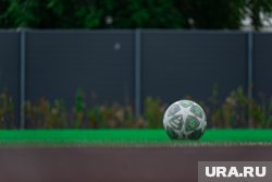 Универсальная &laquo;Энергия&raquo;, крытый бассейн и обновление &laquo;Молота&raquo;: какие спортобъекты появились к 300-летию Перми