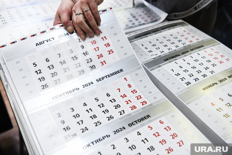 В начале ноября россияне будут работать всего три дня: производственный календарь на 2025 год. Инфографика
