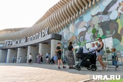 В выходные новый зоопарк в Перми будет работать с полудня