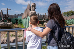 &laquo;Вернусь через год&raquo;: ребенок журналиста URA.RU оценил новый пермский зоопарк. Фото, видео