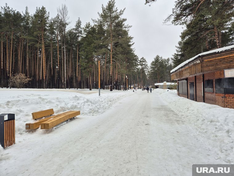Вонючий водопад, спрятавшиеся туалеты и арт-объекты &mdash; обзор экотроп Перми. Фото, видео