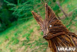 Вонючий водопад, спрятавшиеся туалеты и арт-объекты &mdash; обзор экотроп Перми. Фото, видео