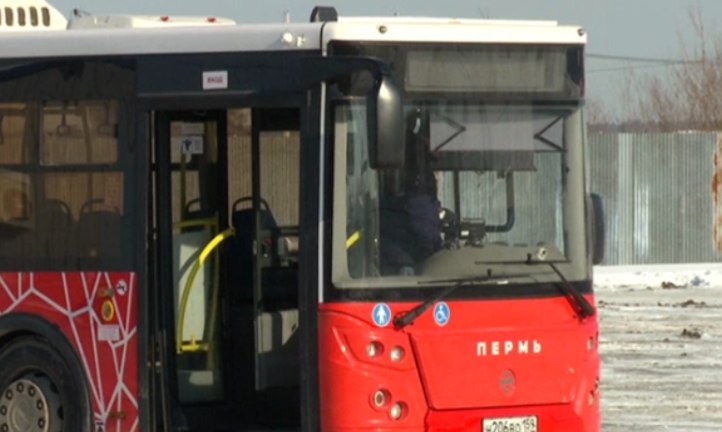 Безбилетники в Перми заплатили более 22 млн руб. штрафов за полгода