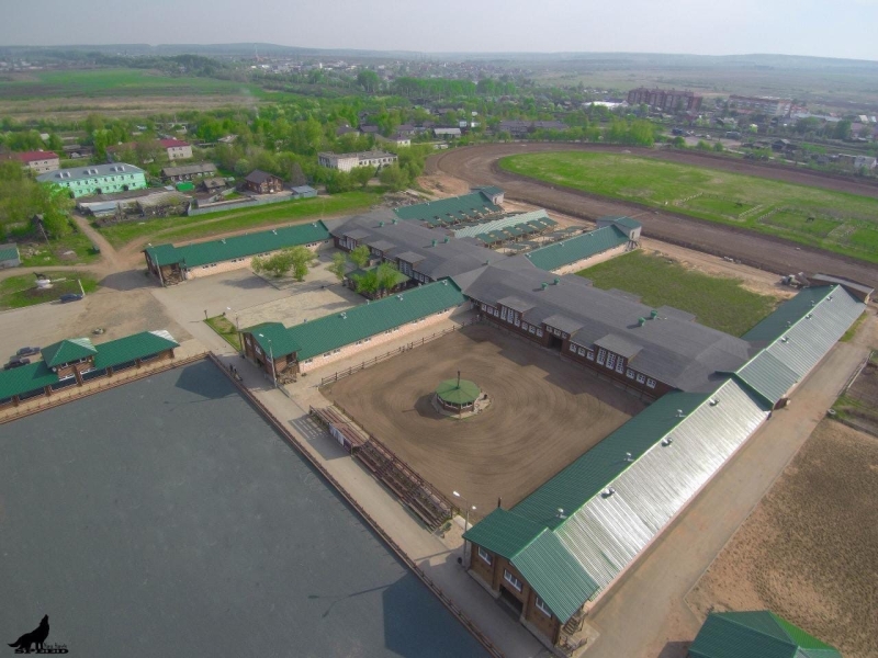 Благоустройство конного клуба в Пермском крае обойдется в 263 млн руб.