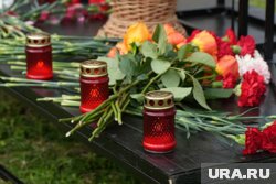 Инаугурация губернатора, похвала от Путина, и горячие батареи: топ-7 новостей Перми и края