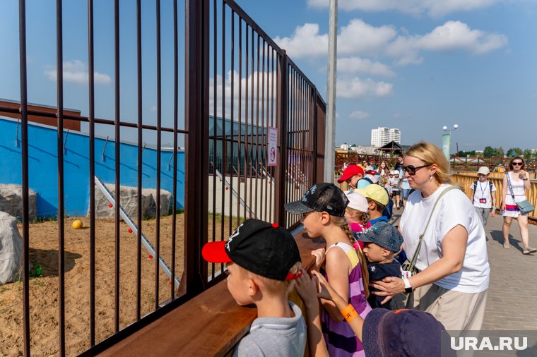 Инаугурация губернатора, похвала от Путина, и горячие батареи: топ-7 новостей Перми и края